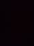 观众