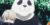 胖哒