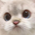萬能