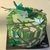 生物老师舒鹤岚