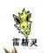 雷精靈