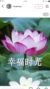 蘇夢(mèng)