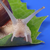 蜗牛