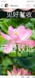 我是許媽