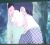 奈良鹿丸