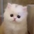小然