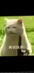 路人