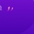 兮兮