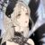青国女王