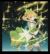 葉星瀾
