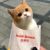 众位同学