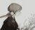 陳老師（語文）