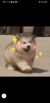 醬醬