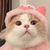 YJ杨老师
