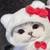 绮