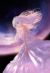 星蝶蝶