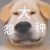 作者