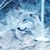 狼使者·托雪