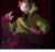 Dream黑