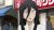 芥川银