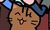 猫（狗狗）