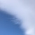 作者