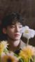 Chen