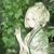 侍女小蝶