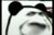 靚禹a