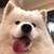 王澤灝