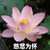 陈佳怡妈妈