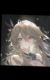 辞