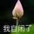 女主爸爸