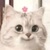 妈妈
