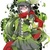 卡米玖（作者）