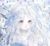冬季花仙魔法使者穆萱