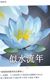 小念爸爸