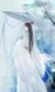 彼岸花神:江塵字魏嬰