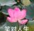 徐建宁