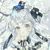 小雪球（作者）