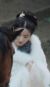 晚姨娘（母親）