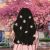 安雅