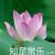 沈妈妈