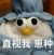 崽种系统