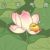 林妈