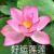 严妈