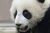 墨亭玉