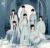 萬能龍?zhí)?/>
                                <p>萬能龍?zhí)?/p>
                            </a>
                        <a href=