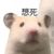 万能住了