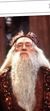 邓布利多